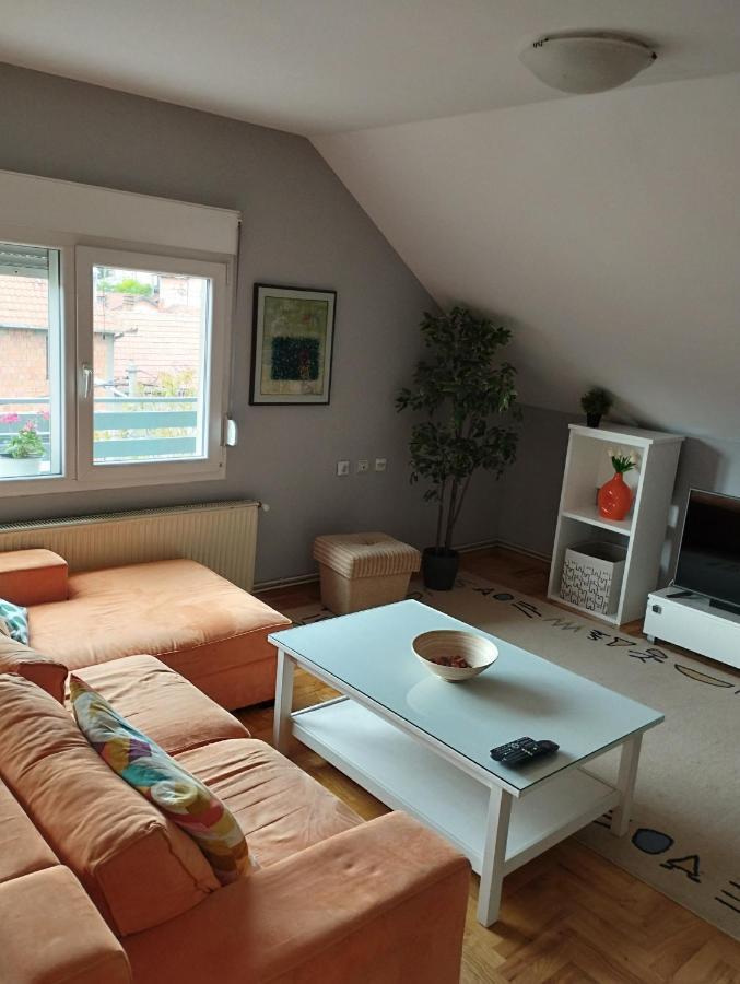 Apartman Aleksandra Смедерево Экстерьер фото