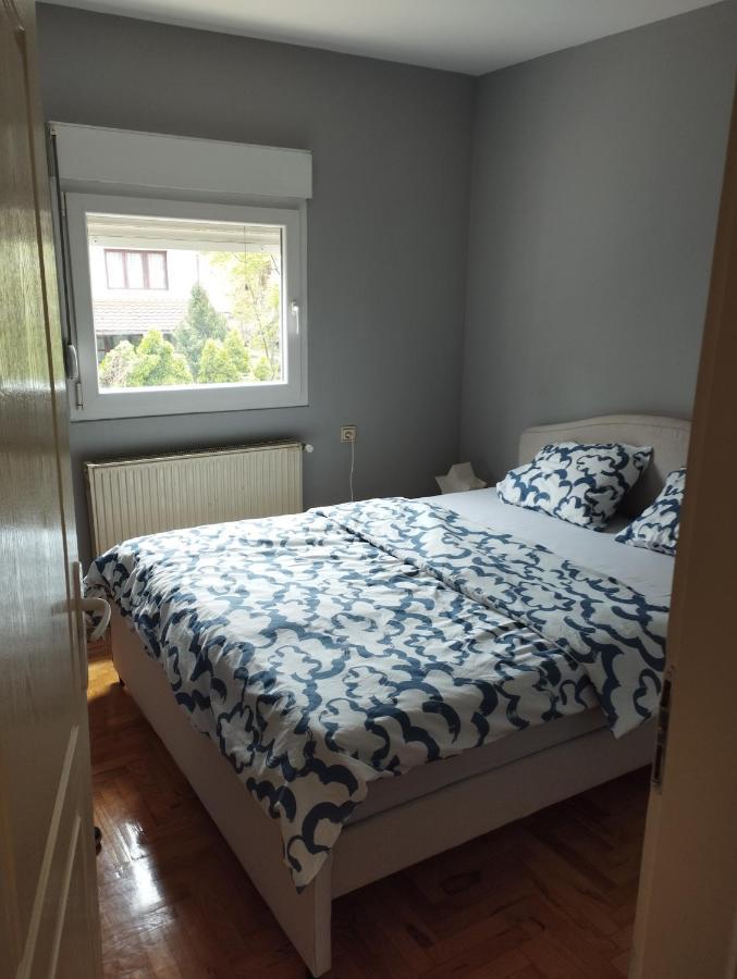 Apartman Aleksandra Смедерево Экстерьер фото
